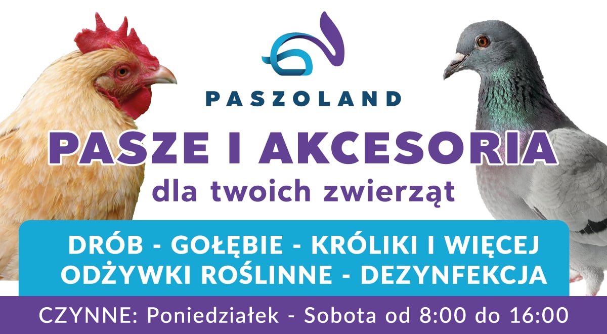 Pasze i karmy dla zwierząt hodowlanych