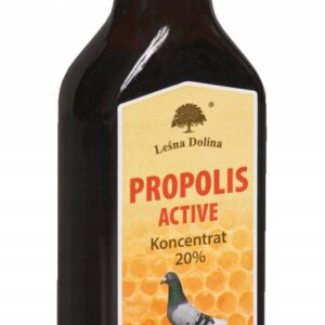 Leśna Dolina Propolis Active 100 ml