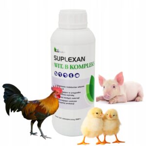 SUPLEXAN B KOMPLEKS zwiększenie mięsności tuszki 1l