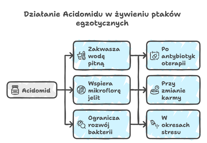 Acidomid zakwasza wodę pitną, wspiera prawidłową mikroflorę jelit i ogranicza rozwój niepożądanych bakterii.