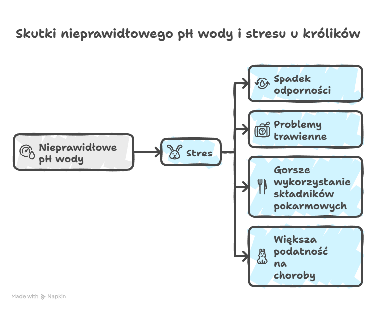 Dlaczego odporność królików zaczyna się od… wody