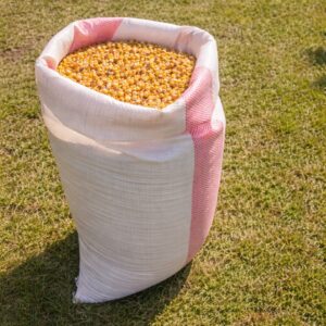 Kukurydza paszowa 20 kg – naturalne ziarno Paszoland