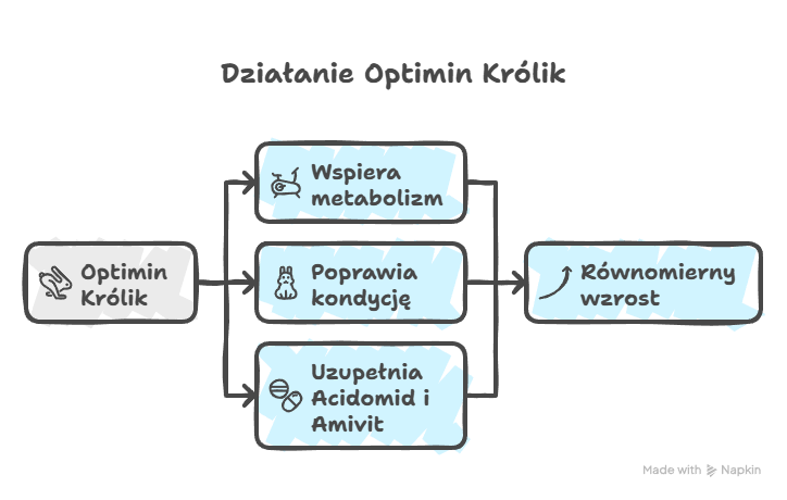Działanie Optimin Królik