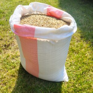 Owies 20 kg – Pasza Naturalna dla Koni, Królików, Drobiu, Gołębi