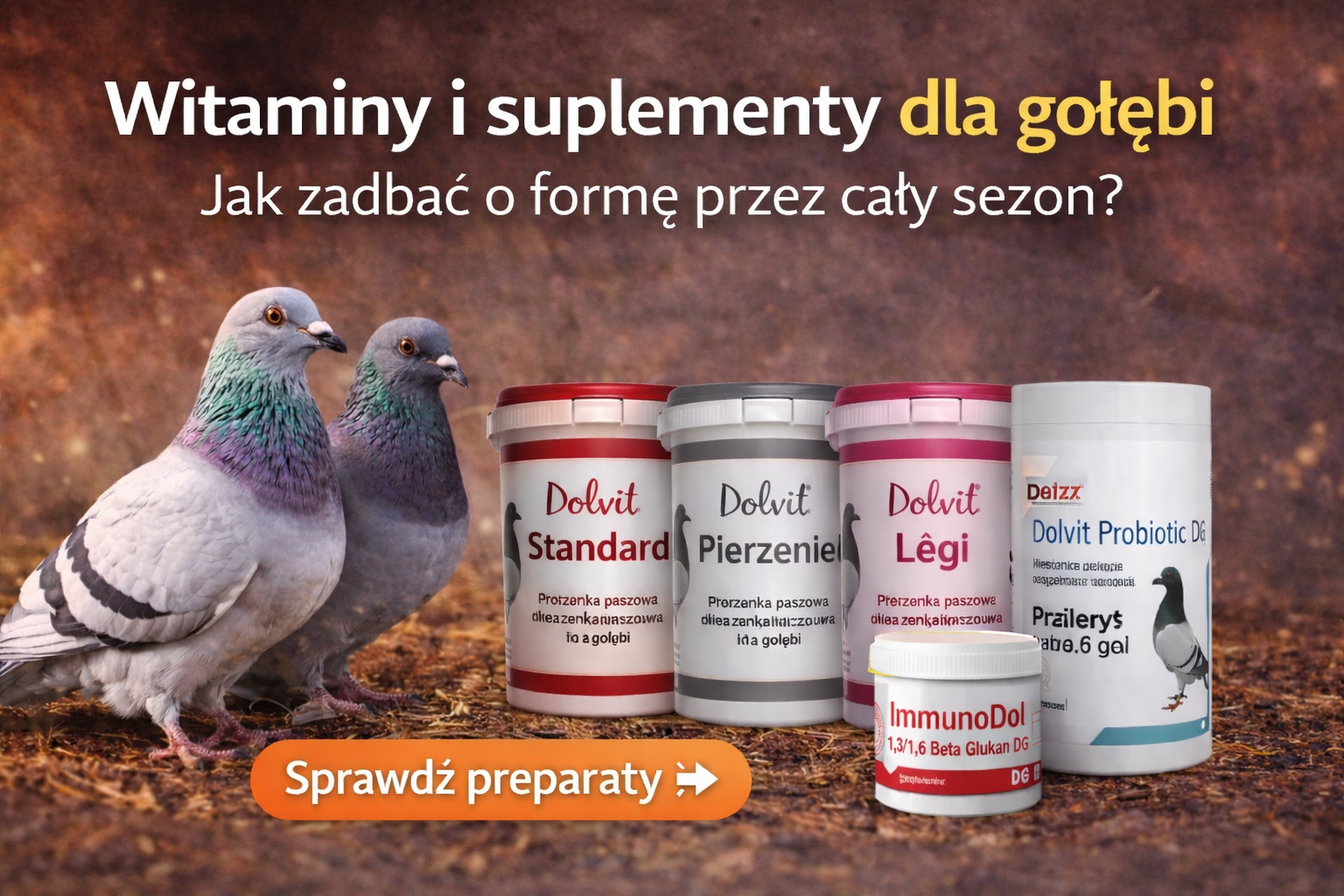 Witaminy i suplementy dla gołębi – jak zadbać o formę przez cały sezon