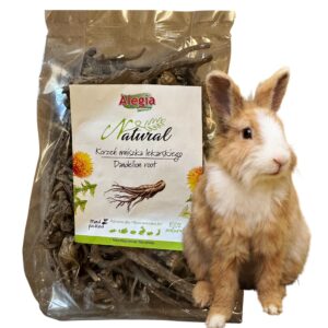 Korzeń mniszka 100g Alegia dla gryzoni i królików Zdrowe uzupełnienie diety