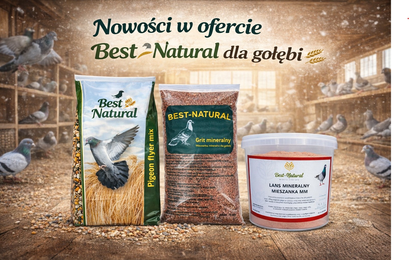 Nowości w ofercie – linia karm i minerałów Best Natural dla gołębi