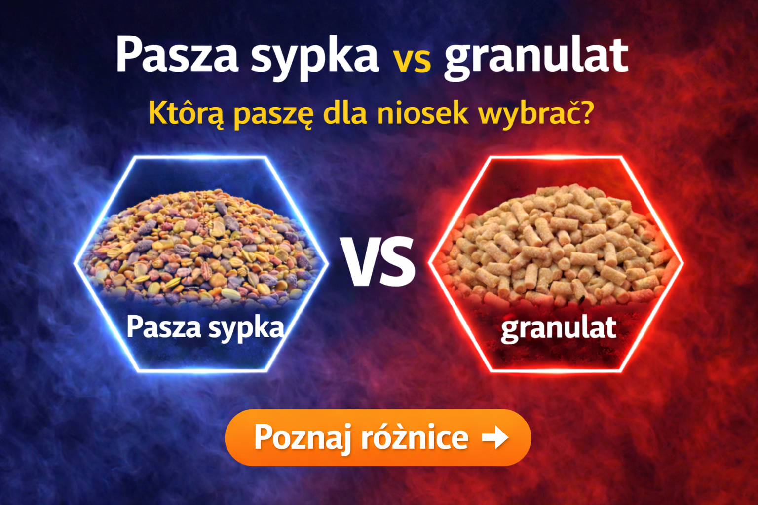 Pasza sypka czy granulat Co wybrać dla niosek – praktyczne porównanie na przykładzie produktów Paszoland
