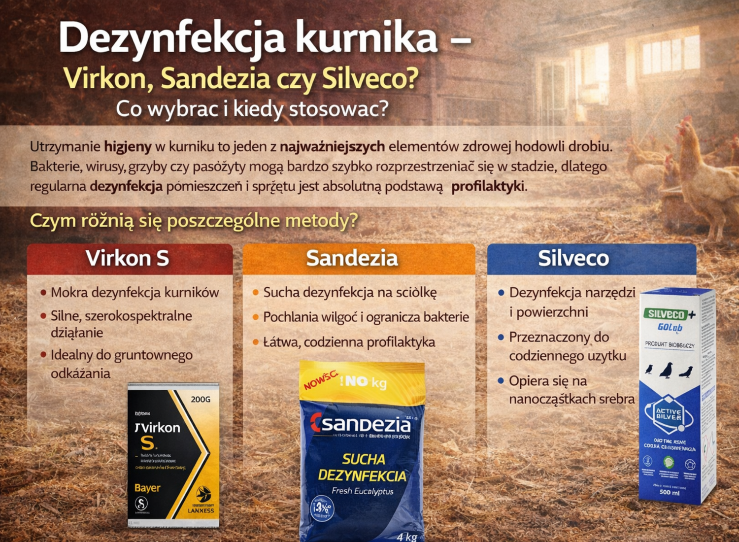 Dezynfekcja kurnika – Virkon, Sandezia czy Silveco Co wybrać i kiedy stosować