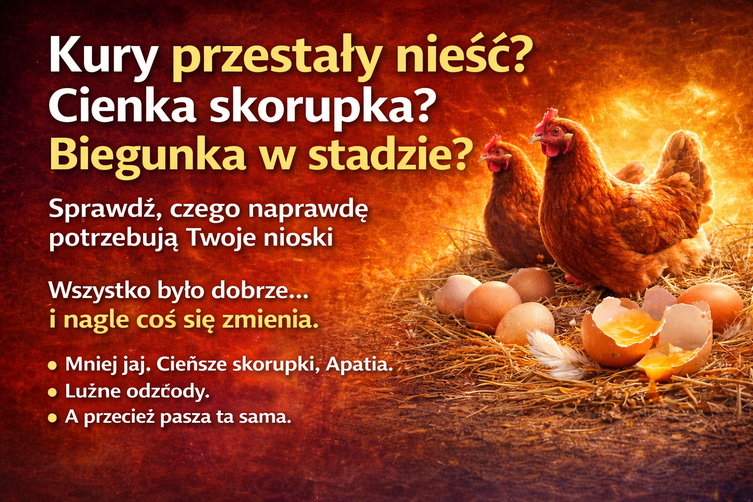 Kury przestały nieść Cienka skorupka Biegunka w stadzie