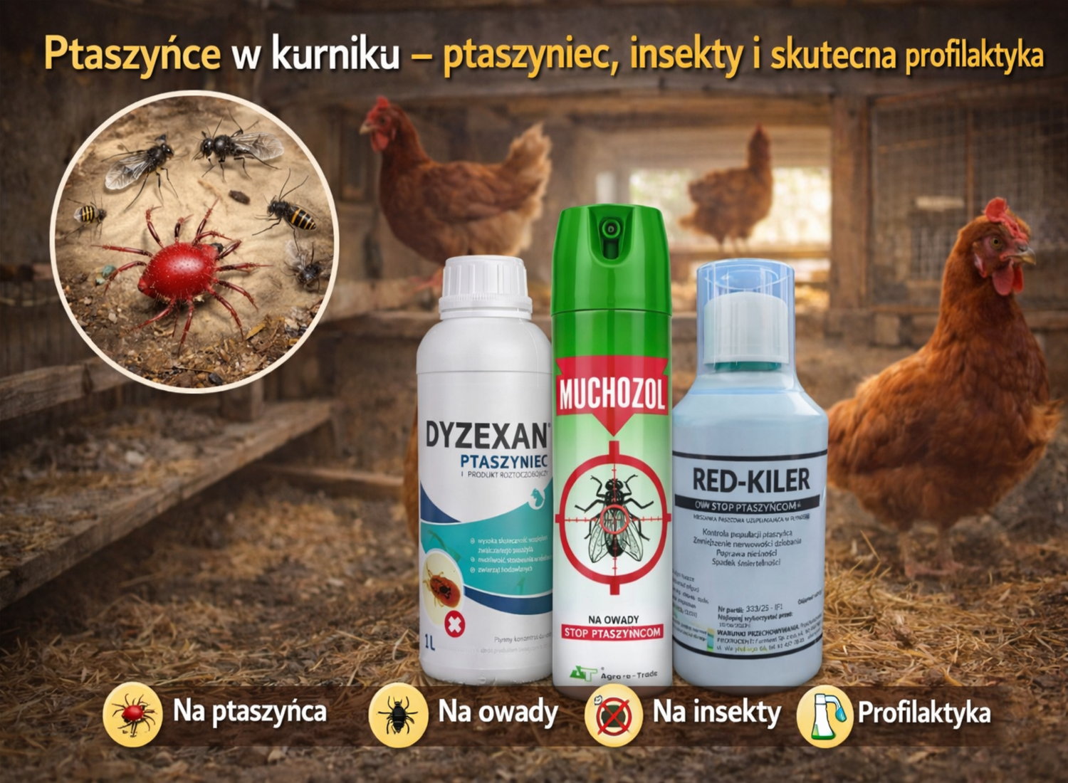 Pasożyty w kurniku – ptaszyniec, insekty i skuteczna profilaktyka