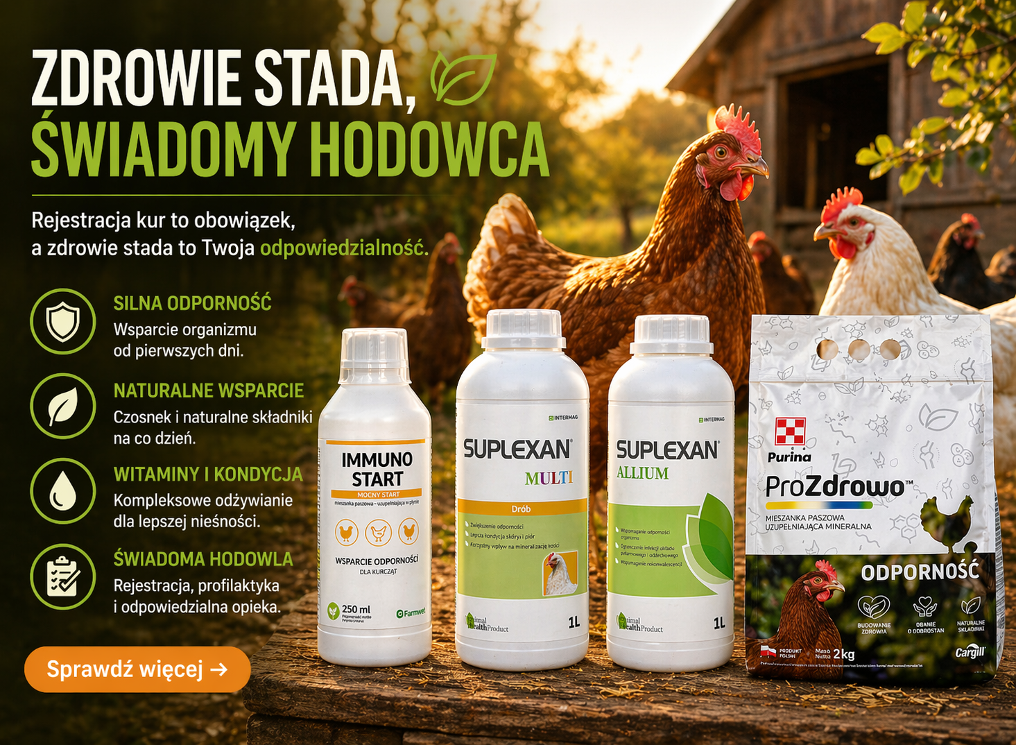 Zdrowie stada a obowiązki hodowcy – praktyczne podejście w okresie rejestracji kur