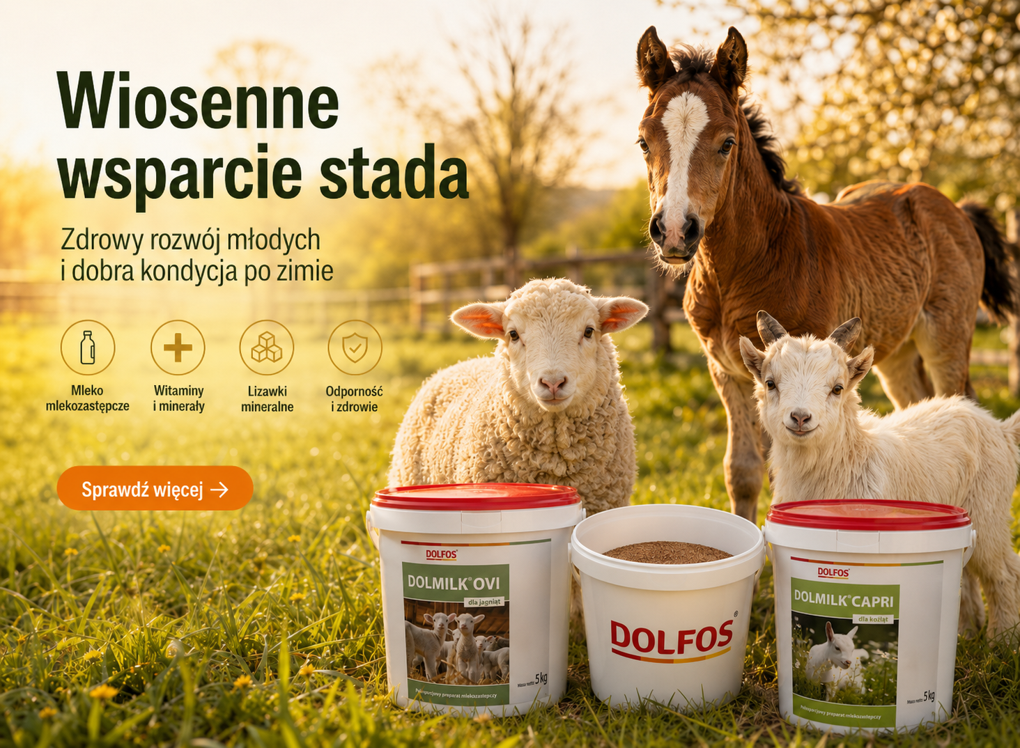 Wiosenne przygotowanie owiec, kóz i źrebiąt – zdrowy rozwój młodych i wsparcie stada po zimie