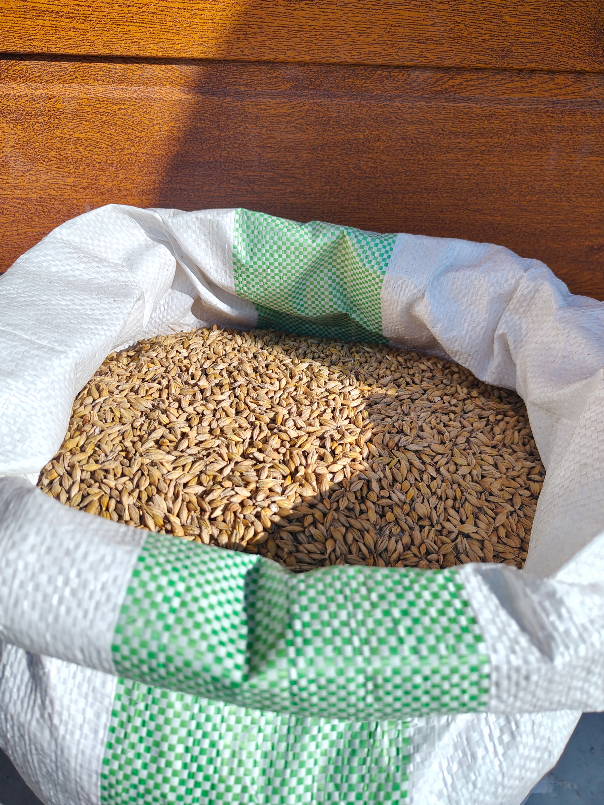 Jęczmień 20 kg – Pasza Naturalna dla Koni, Drobiu, Królików Paszoland