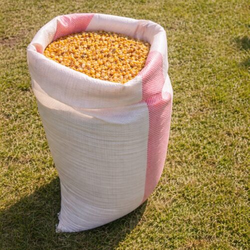 Kukurydza 20 kg – Pasza Naturalna dla Drobiu