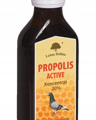 Leśna Dolina Propolis Active 100 ml